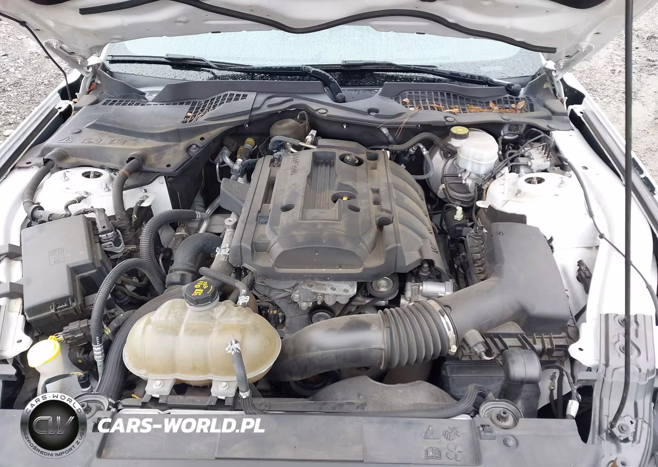 2019 Ford Mustang Ecoboost VIN:1FA6P8TH7K5112280 - 10