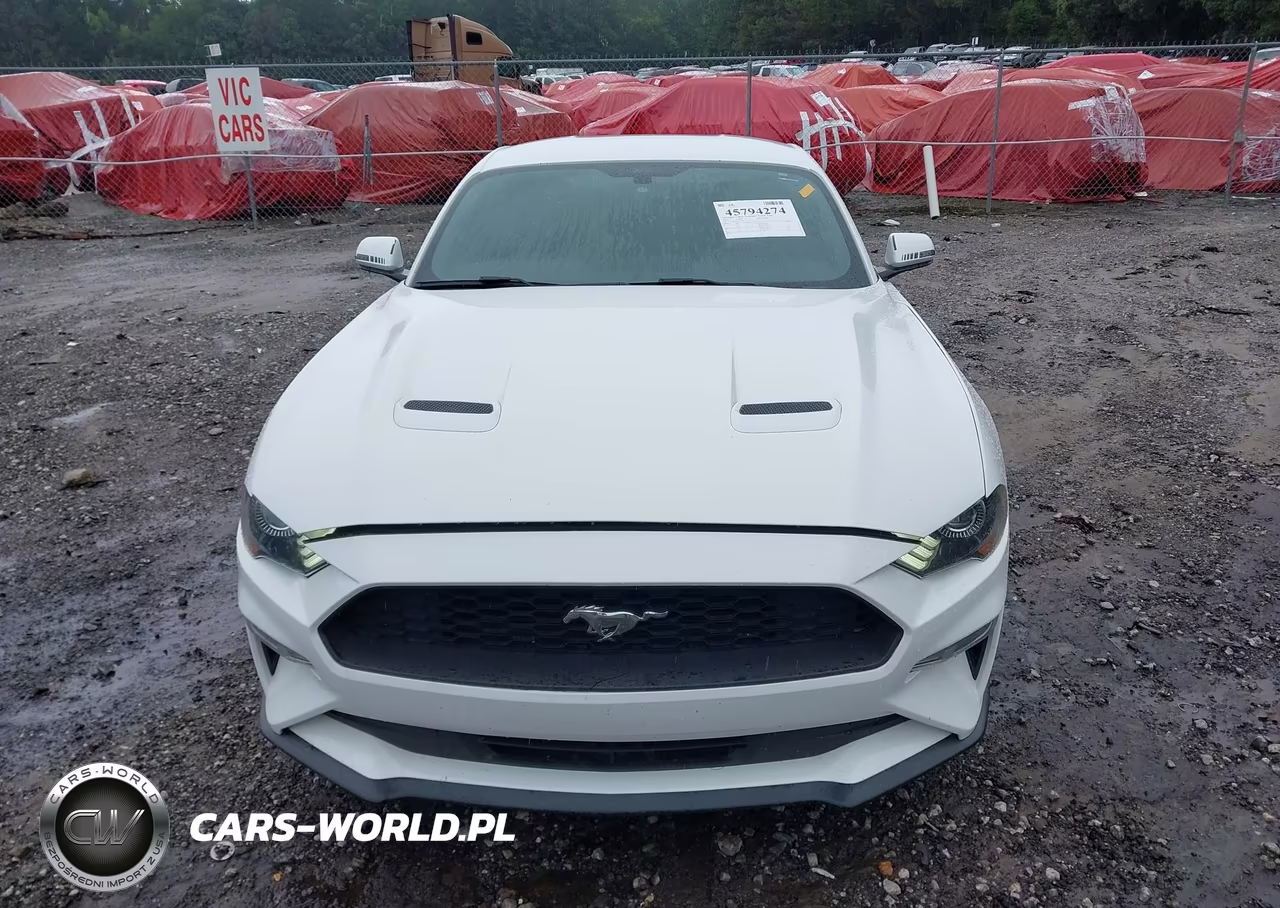 2019 Ford Mustang Ecoboost VIN:1FA6P8TH7K5112280 - 12