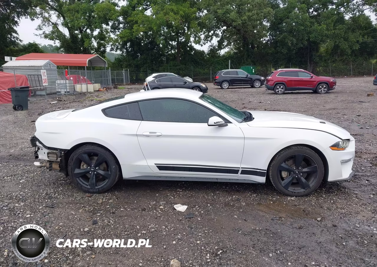 2019 Ford Mustang Ecoboost VIN:1FA6P8TH7K5112280 - 13