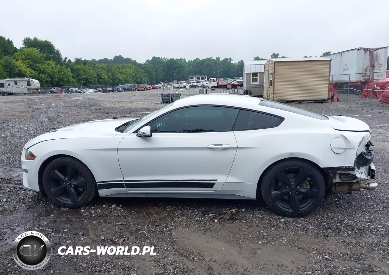 2019 Ford Mustang Ecoboost VIN:1FA6P8TH7K5112280 - 14