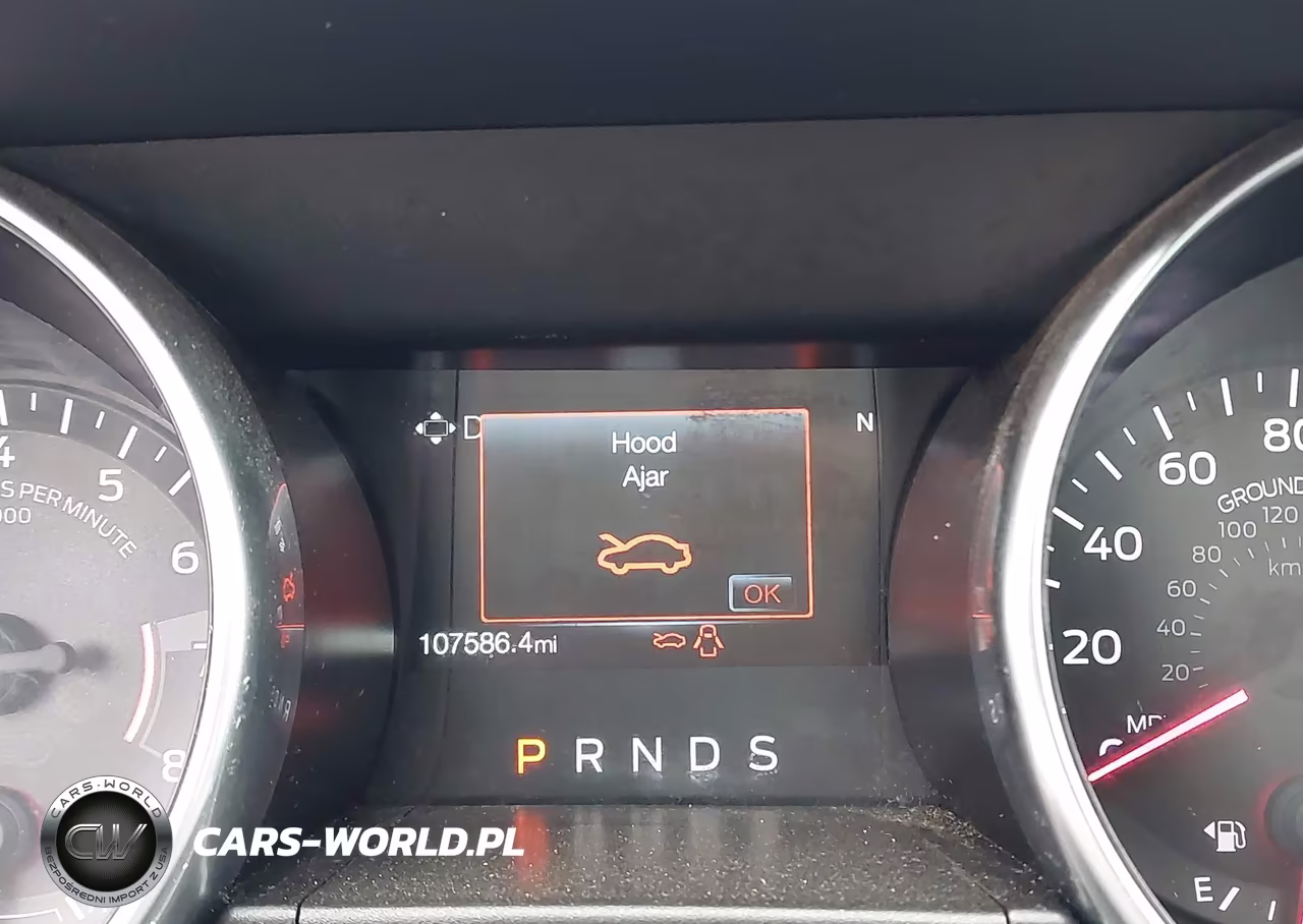 2019 Ford Mustang Ecoboost VIN:1FA6P8TH7K5112280 - 15