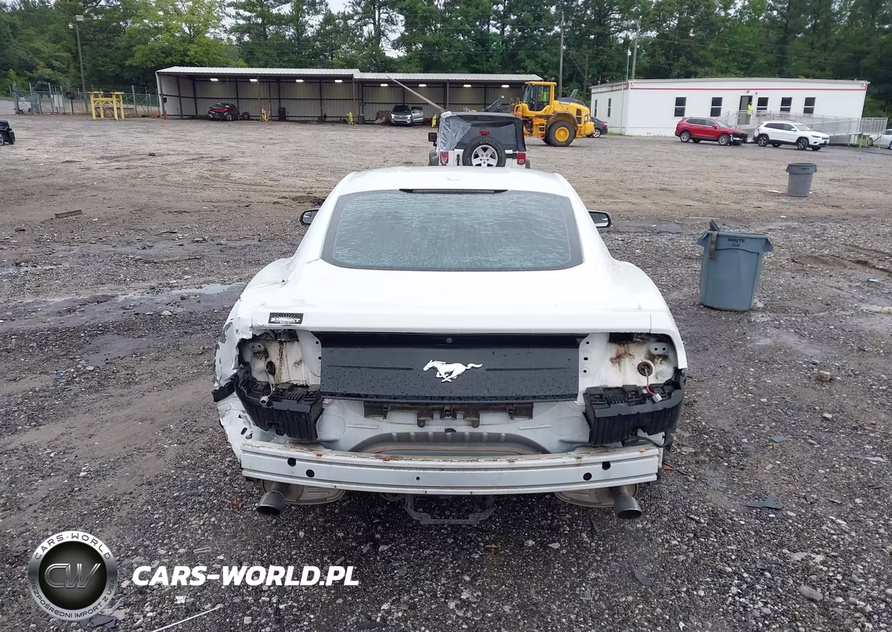 2019 Ford Mustang Ecoboost VIN:1FA6P8TH7K5112280 - 16