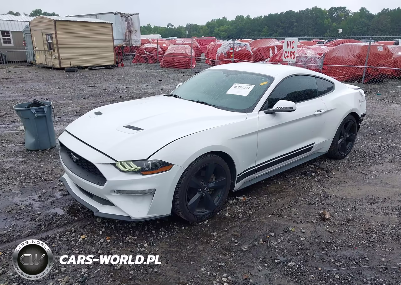 2019 Ford Mustang Ecoboost VIN:1FA6P8TH7K5112280 - 2