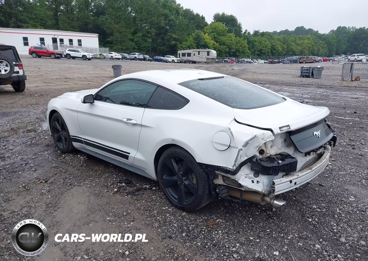 2019 Ford Mustang Ecoboost VIN:1FA6P8TH7K5112280 - 3