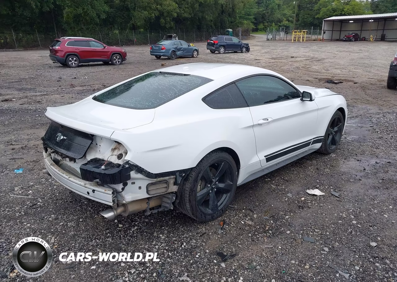 2019 Ford Mustang Ecoboost VIN:1FA6P8TH7K5112280 - 4