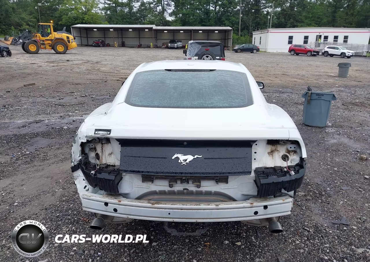 2019 Ford Mustang Ecoboost VIN:1FA6P8TH7K5112280 - 6