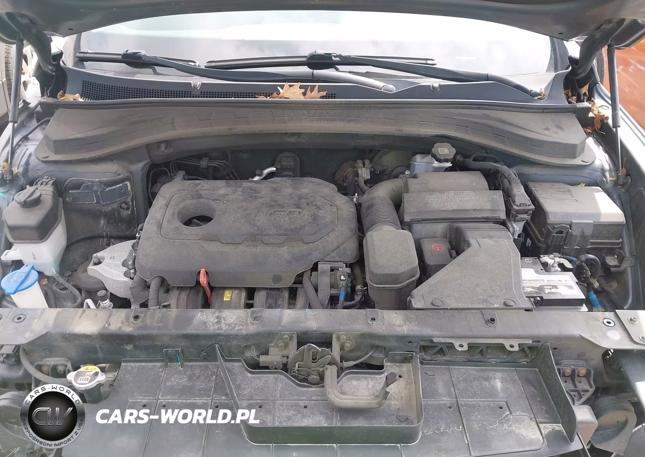 2019 Hyundai Santa Fe Se VIN:5NMS2CAD8KH084514 - 10