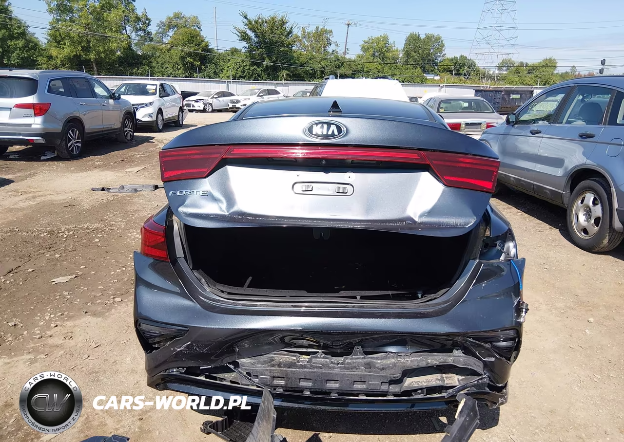 2019 Kia Forte Lxs VIN:3KPF24AD2KE125802 - 17