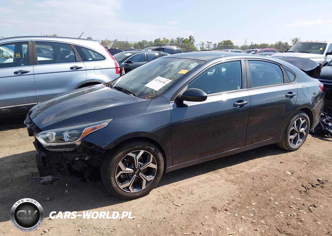 2019 Kia Forte Lxs VIN:3KPF24AD2KE125802 - 2