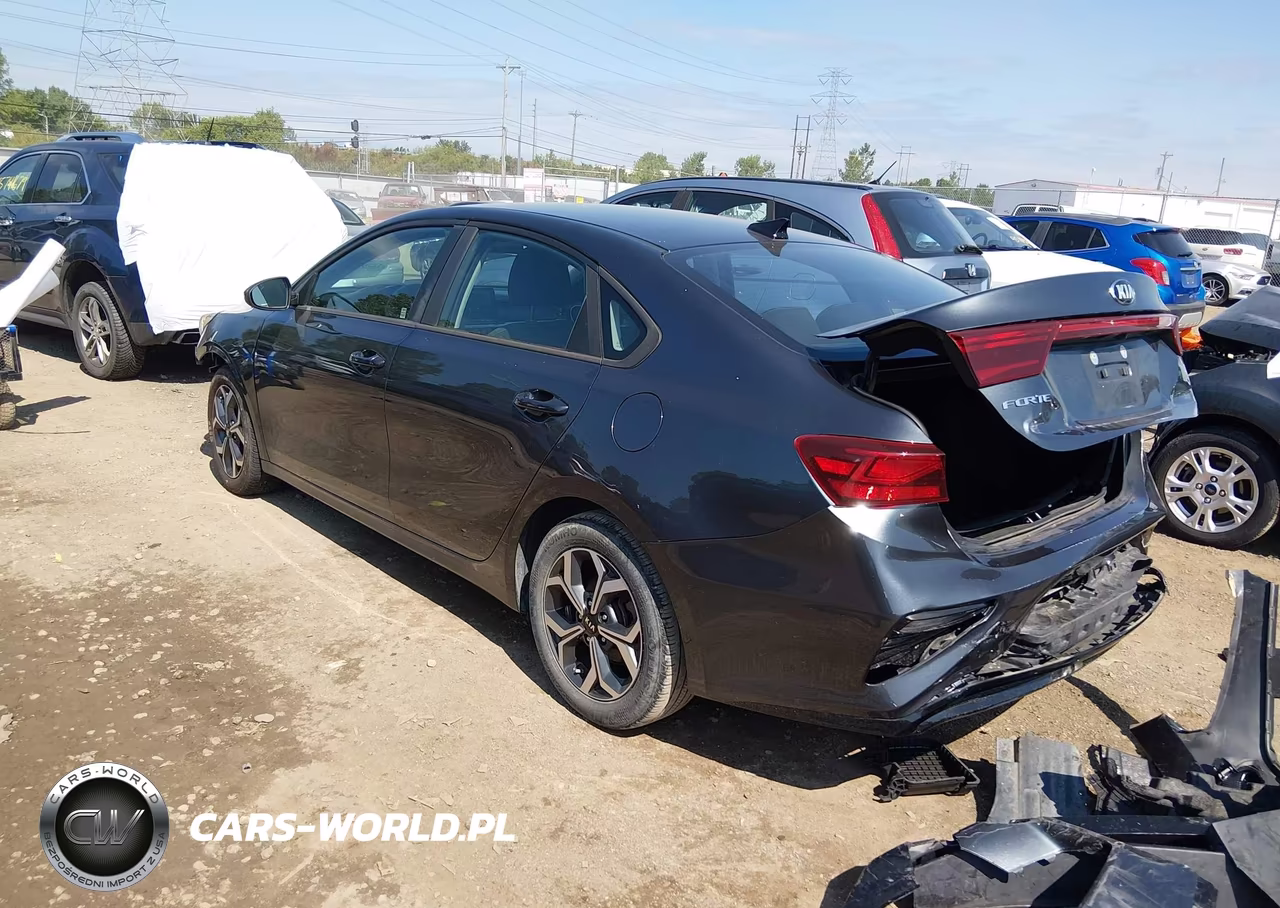 2019 Kia Forte Lxs VIN:3KPF24AD2KE125802 - 3