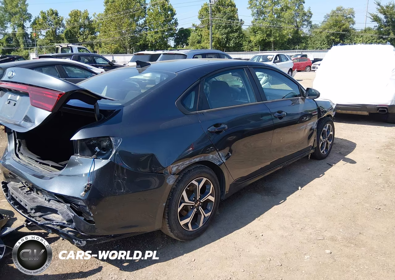 2019 Kia Forte Lxs VIN:3KPF24AD2KE125802 - 4
