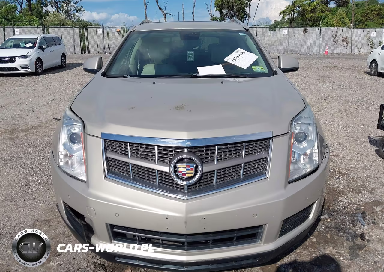 2011 Cadillac Srx Luxury Collection VIN:3GYFNAEY4BS568449 - 6