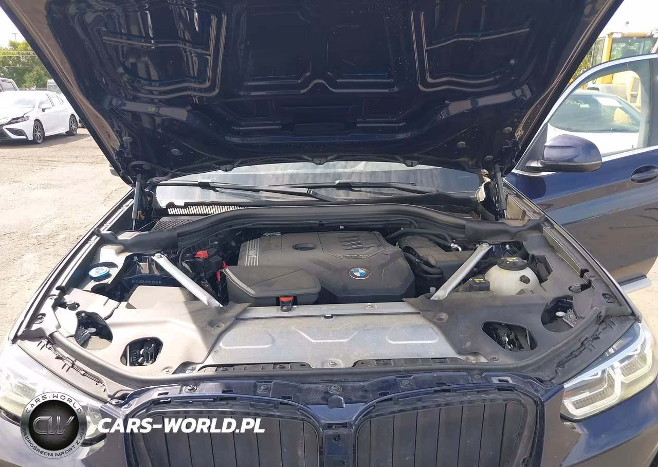 2022 BMW X3 xDrive30I VIN:5UX53DP07N9L91000 - 10