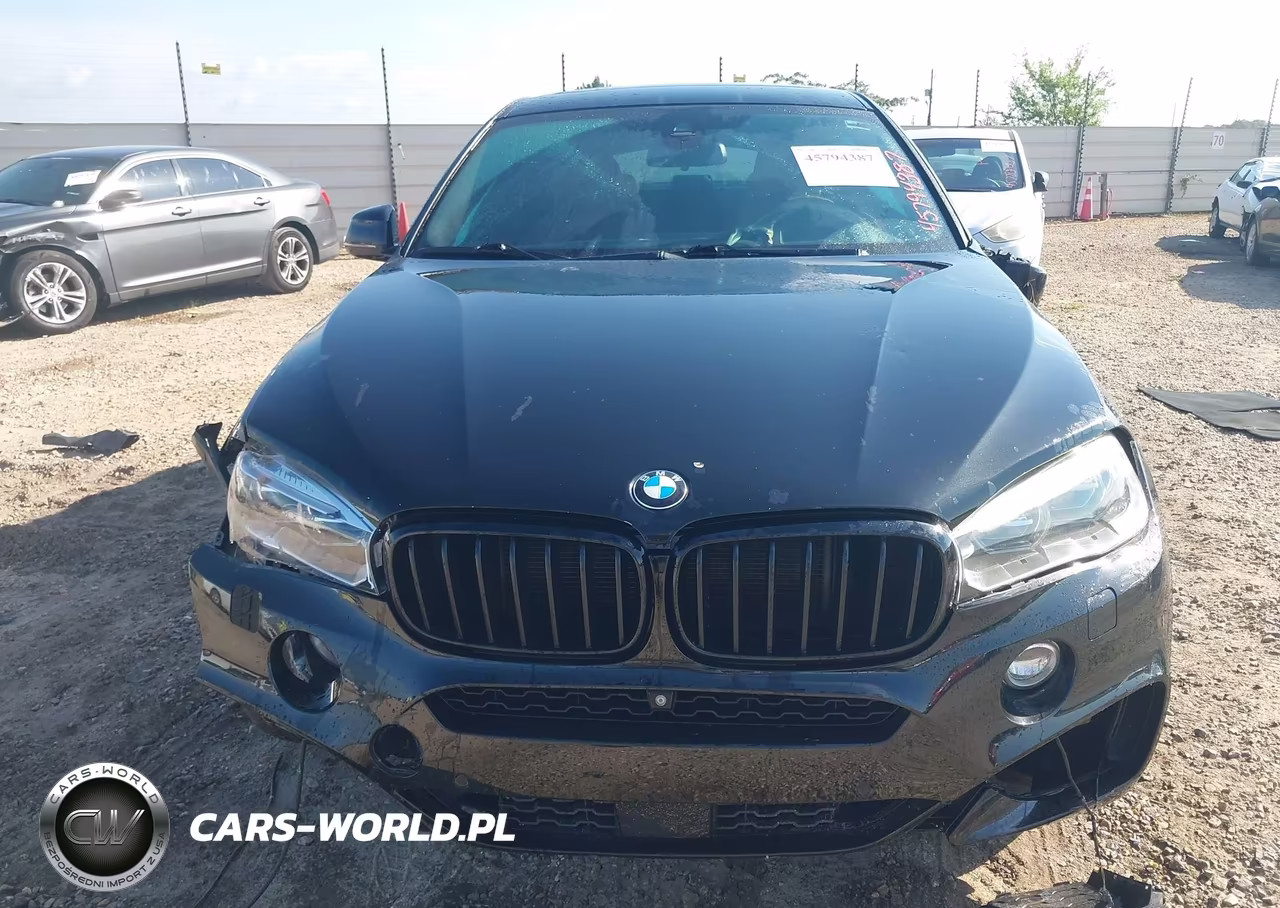 2017 BMW X6 xDrive35I VIN:5UXKU2C59H0N84702 - 12