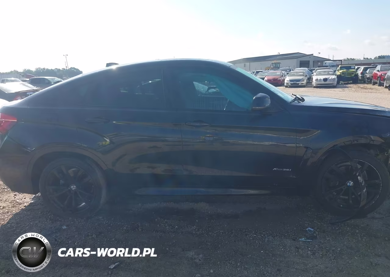 2017 BMW X6 xDrive35I VIN:5UXKU2C59H0N84702 - 13