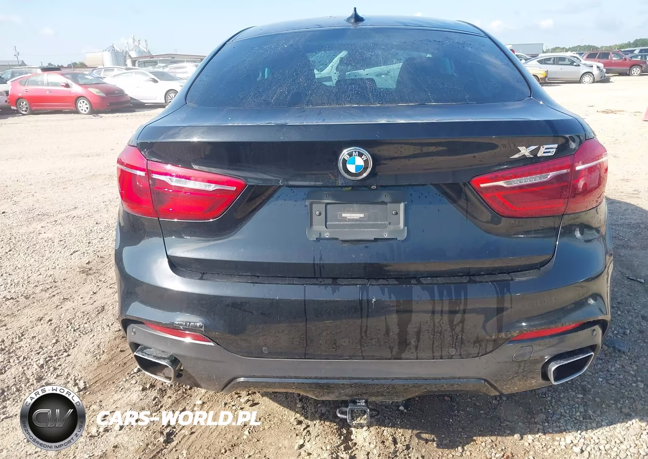 2017 BMW X6 xDrive35I VIN:5UXKU2C59H0N84702 - 16