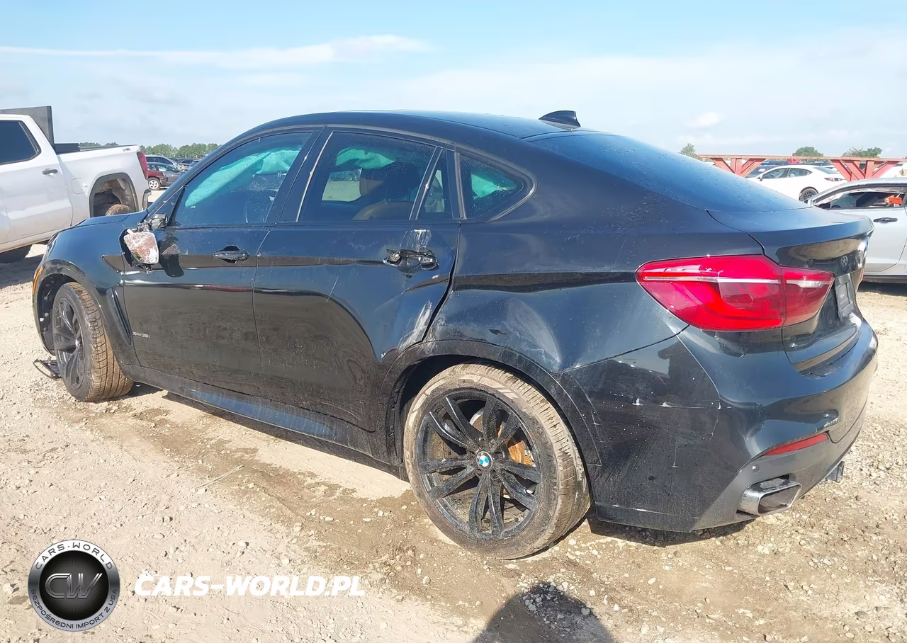 2017 BMW X6 xDrive35I VIN:5UXKU2C59H0N84702 - 3