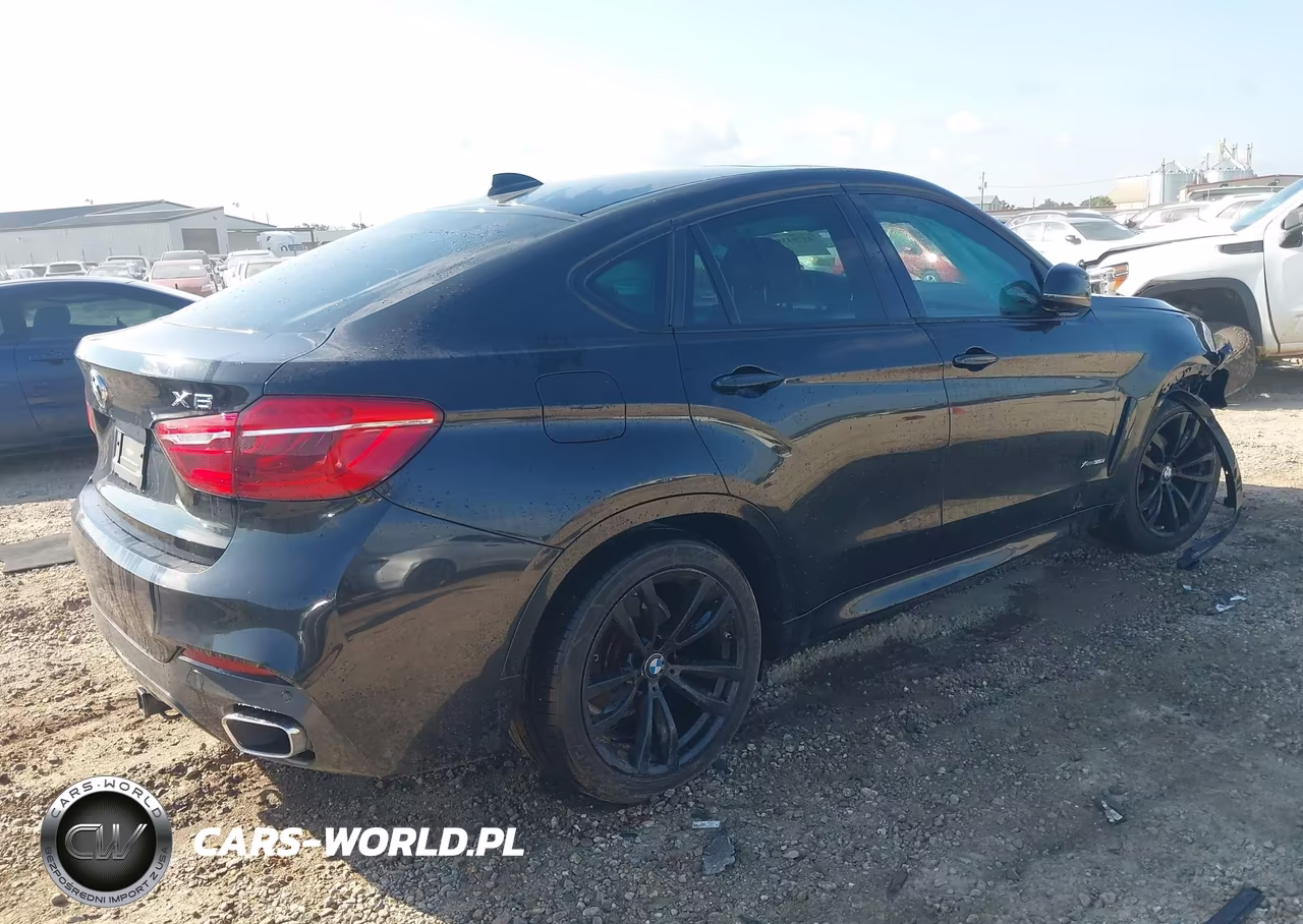 2017 BMW X6 xDrive35I VIN:5UXKU2C59H0N84702 - 4