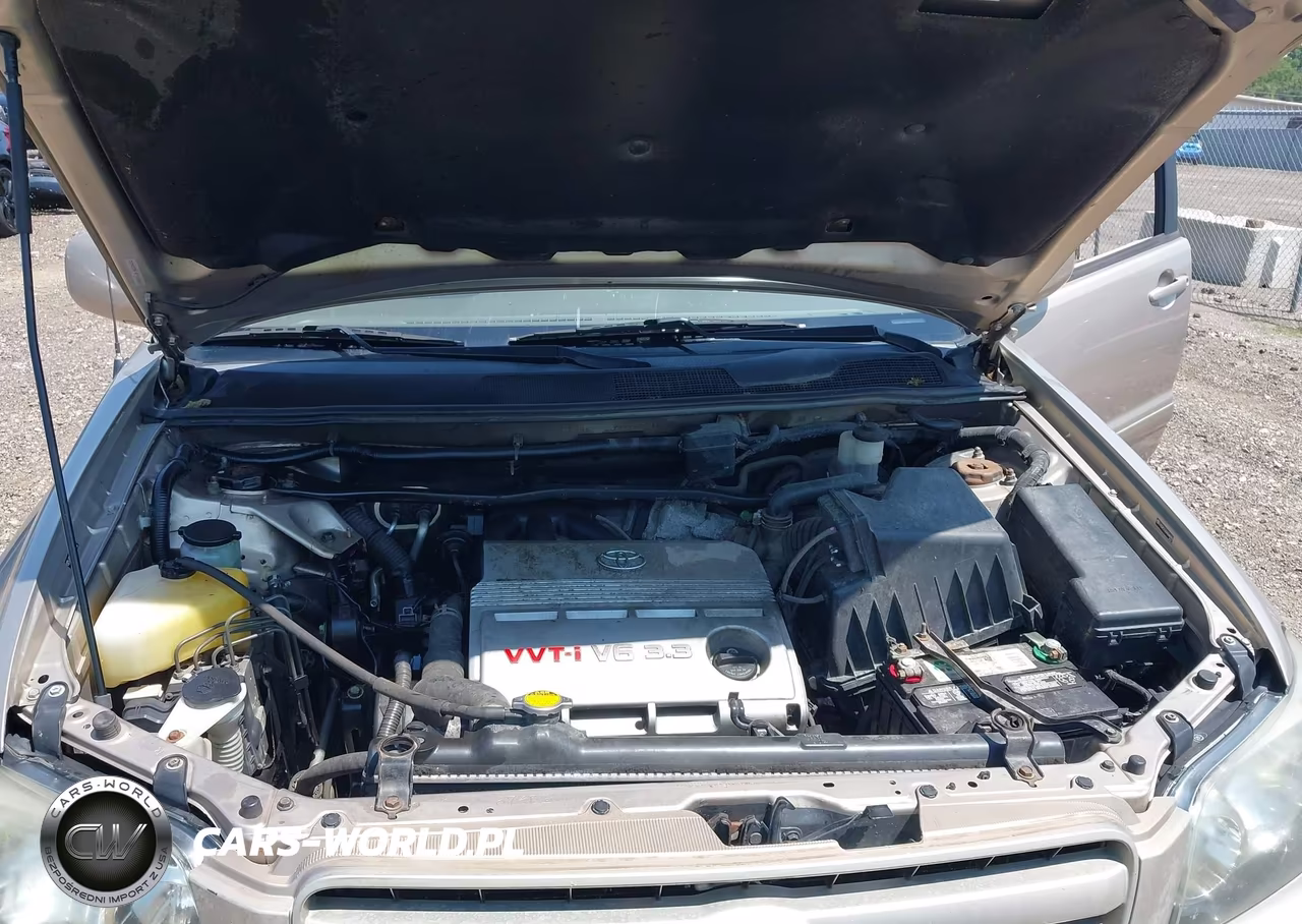 2004 Toyota Highlander V6 VIN:JTEDP21A340040901 - 10