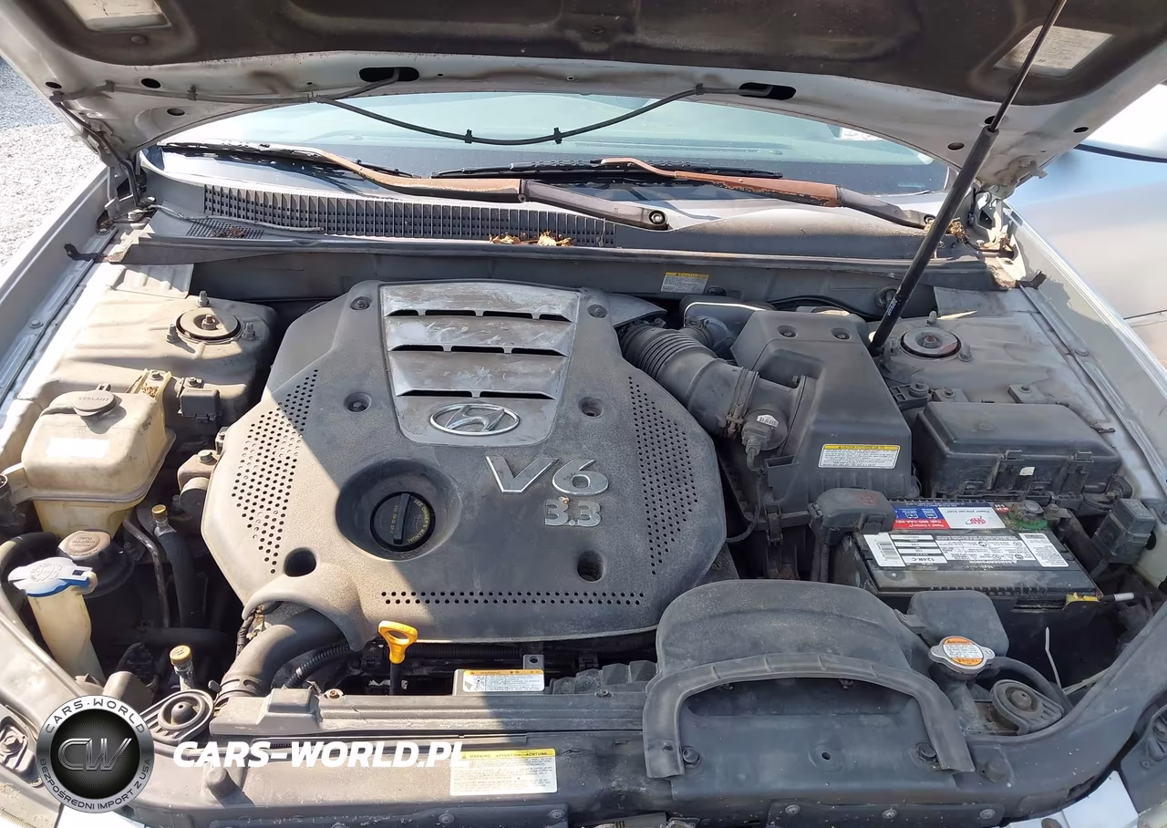 2006 Hyundai Sonata Gls V6-Lx V6 VIN:5NPEU46F26H092530 - 10