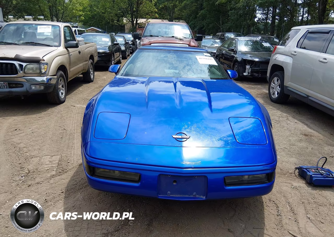 1994 Chevrolet Corvette VIN:1G1YY22P4R5115467 - 12