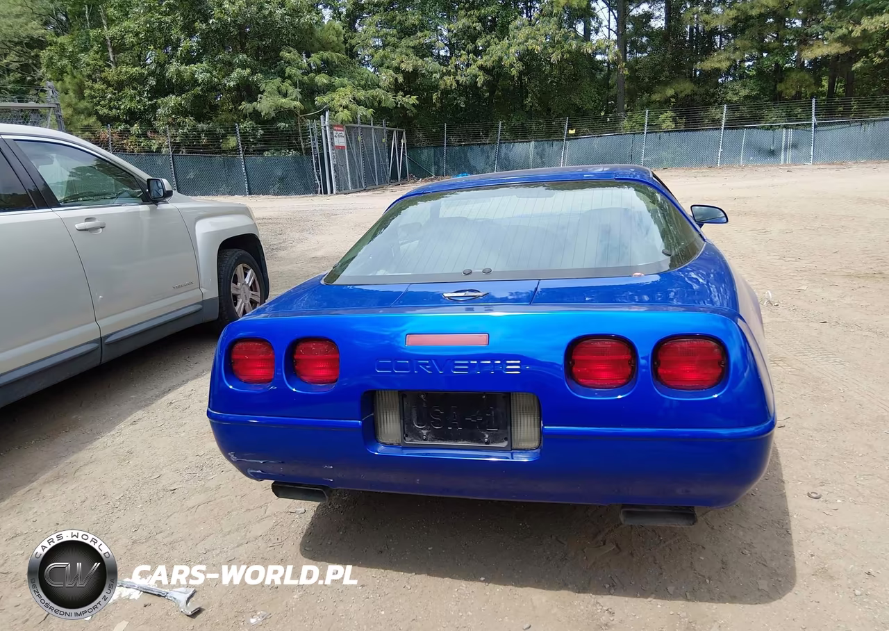 1994 Chevrolet Corvette VIN:1G1YY22P4R5115467 - 16