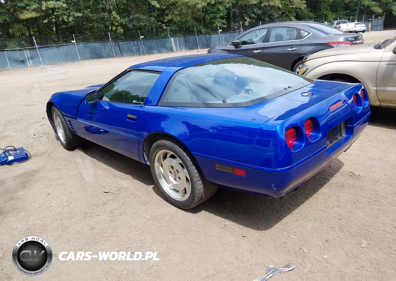 1994 Chevrolet Corvette VIN:1G1YY22P4R5115467 - 3
