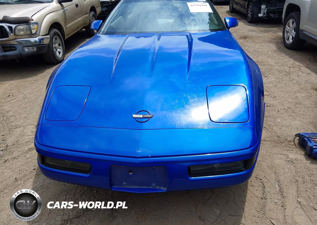 1994 Chevrolet Corvette VIN:1G1YY22P4R5115467 - 6