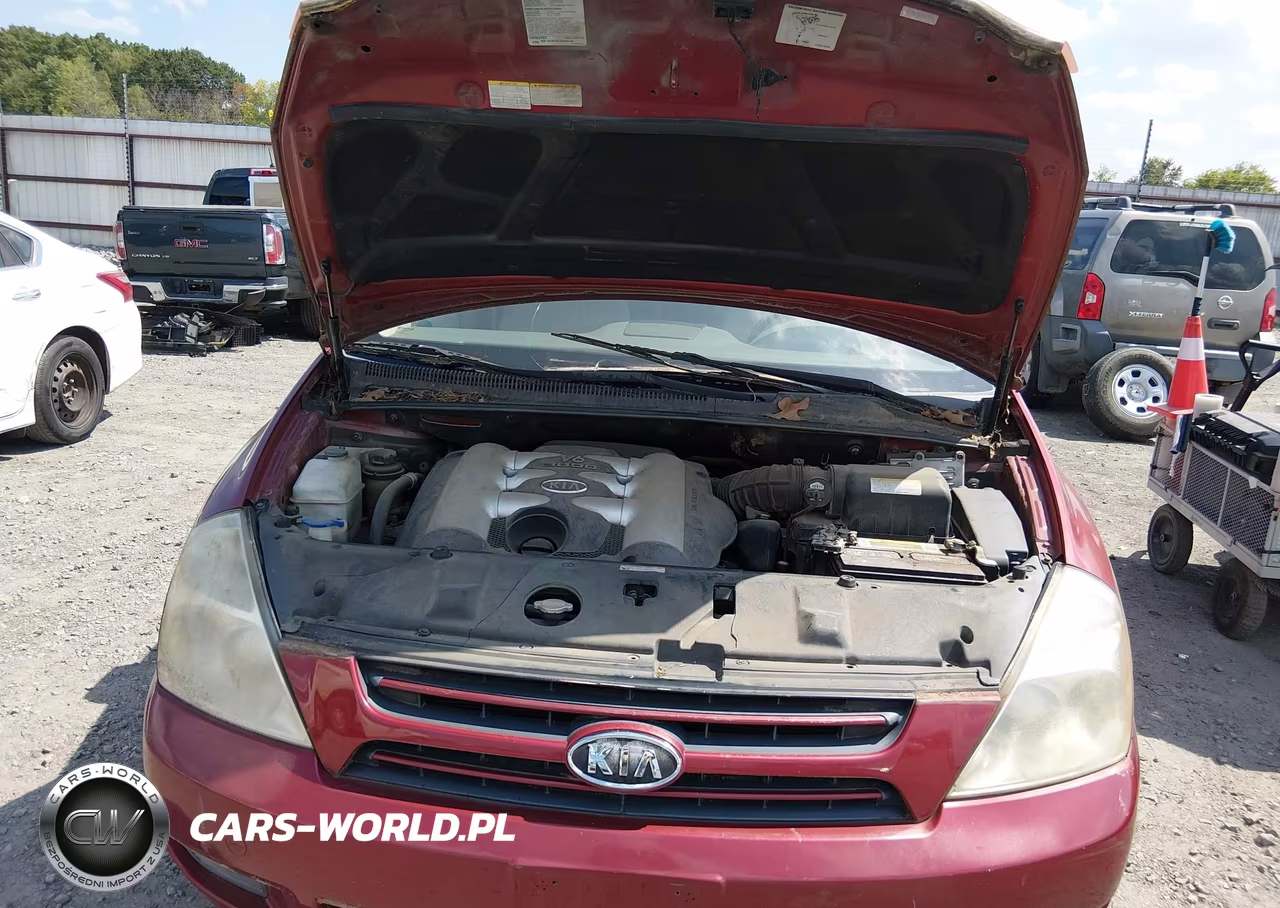 2006 Kia Sedona Ex-Lx VIN:KNDMB233866079436 - 10