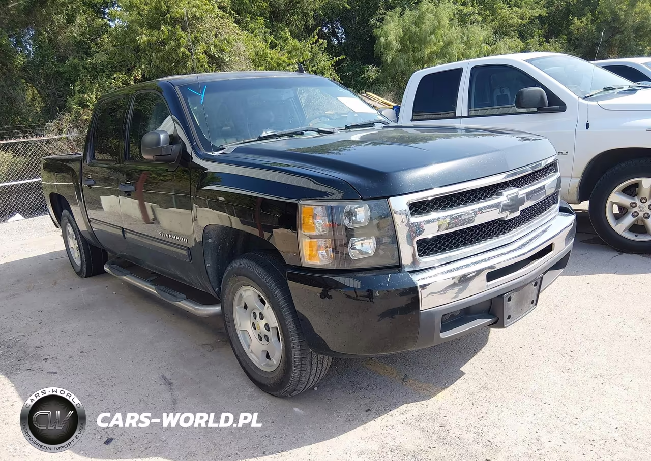 2010 Chevrolet Silverado 1500 Ls