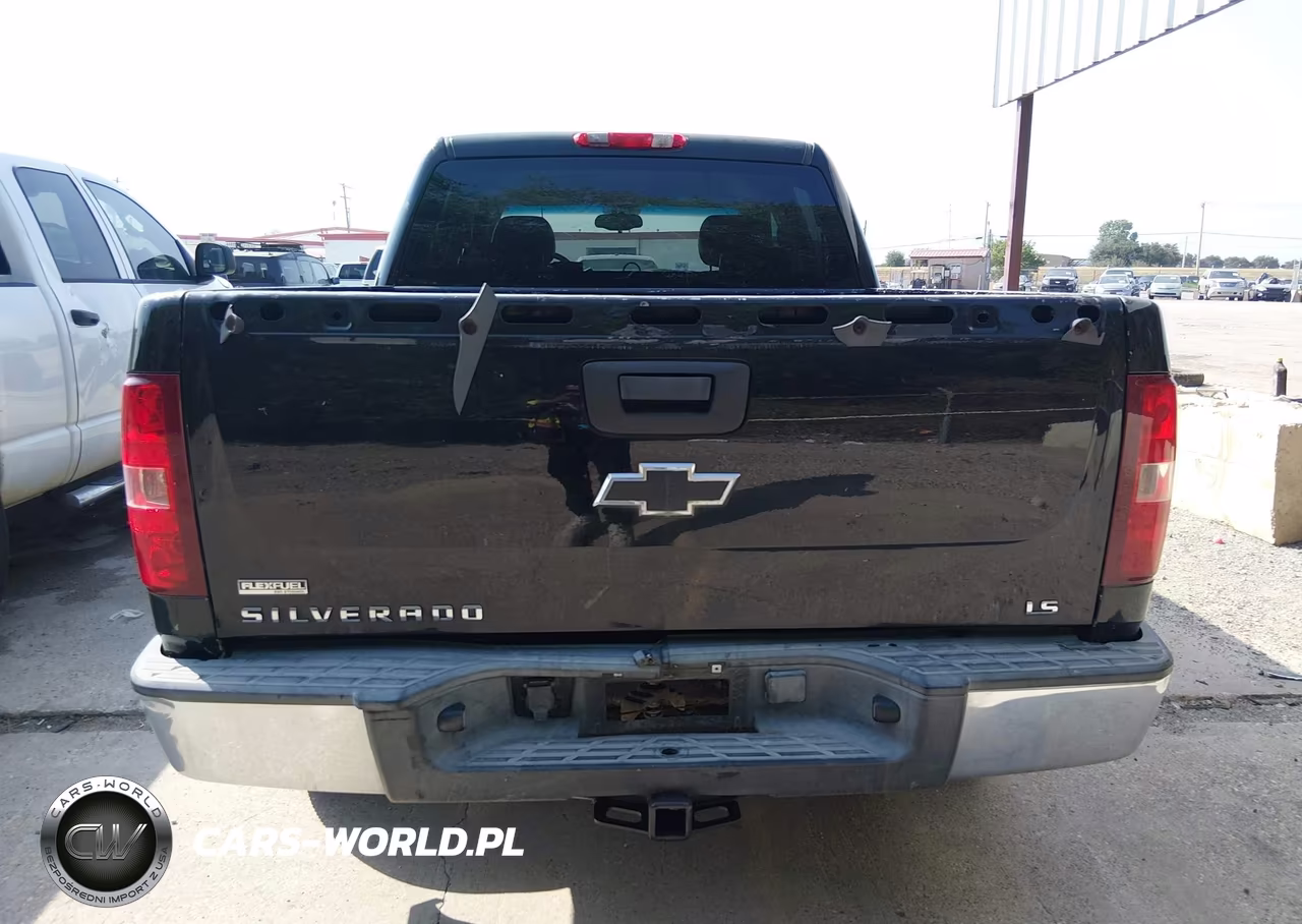 2010 Chevrolet Silverado 1500 Ls VIN:3GCRCREA1AG108144 - 16