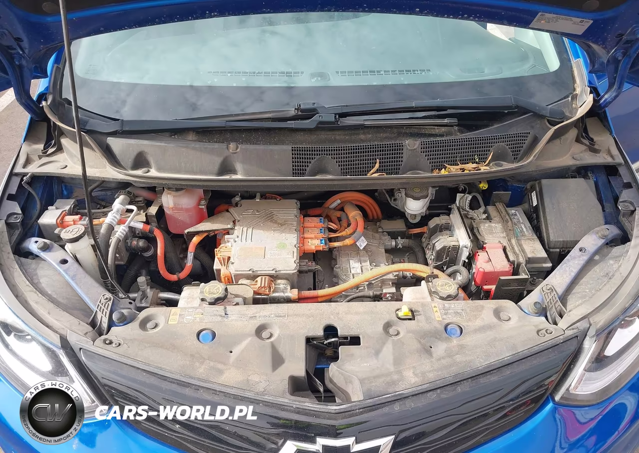 2020 Chevrolet Bolt Ev Fwd Premier VIN:1G1FZ6S04L4139604 - 10