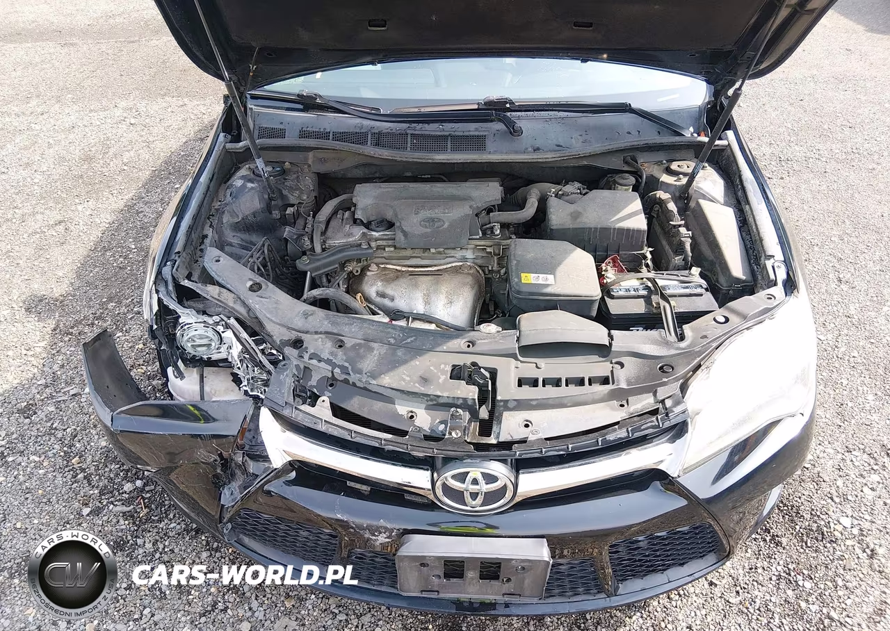 2017 Toyota Camry Se VIN:4T1BF1FK1HU339789 - 10