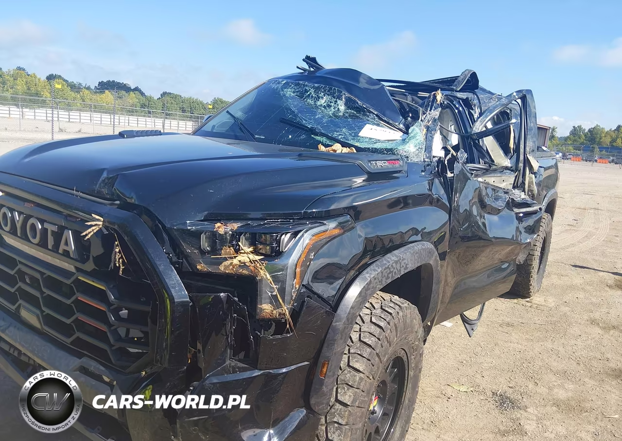 2023 Toyota Tundra Hybrid Trd Pro VIN:5TFPC5DB1PX029961 - 17