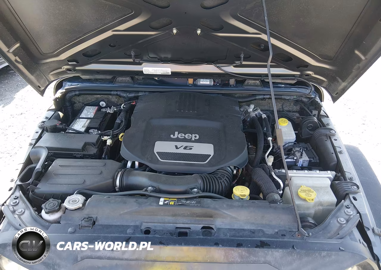 2017 Jeep Wrangler Unlimited Sport VIN:1C4BJWDG3HL645462 - 10