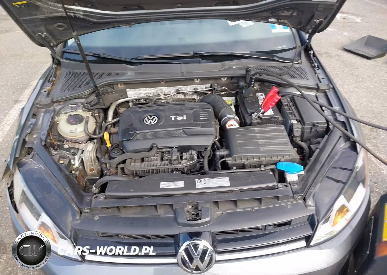 2017 Volkswagen Golf Tsi S 4-Door-Tsi Wolfsburg Edition 4-Door VIN:3VW117AUXHM058800 - 10