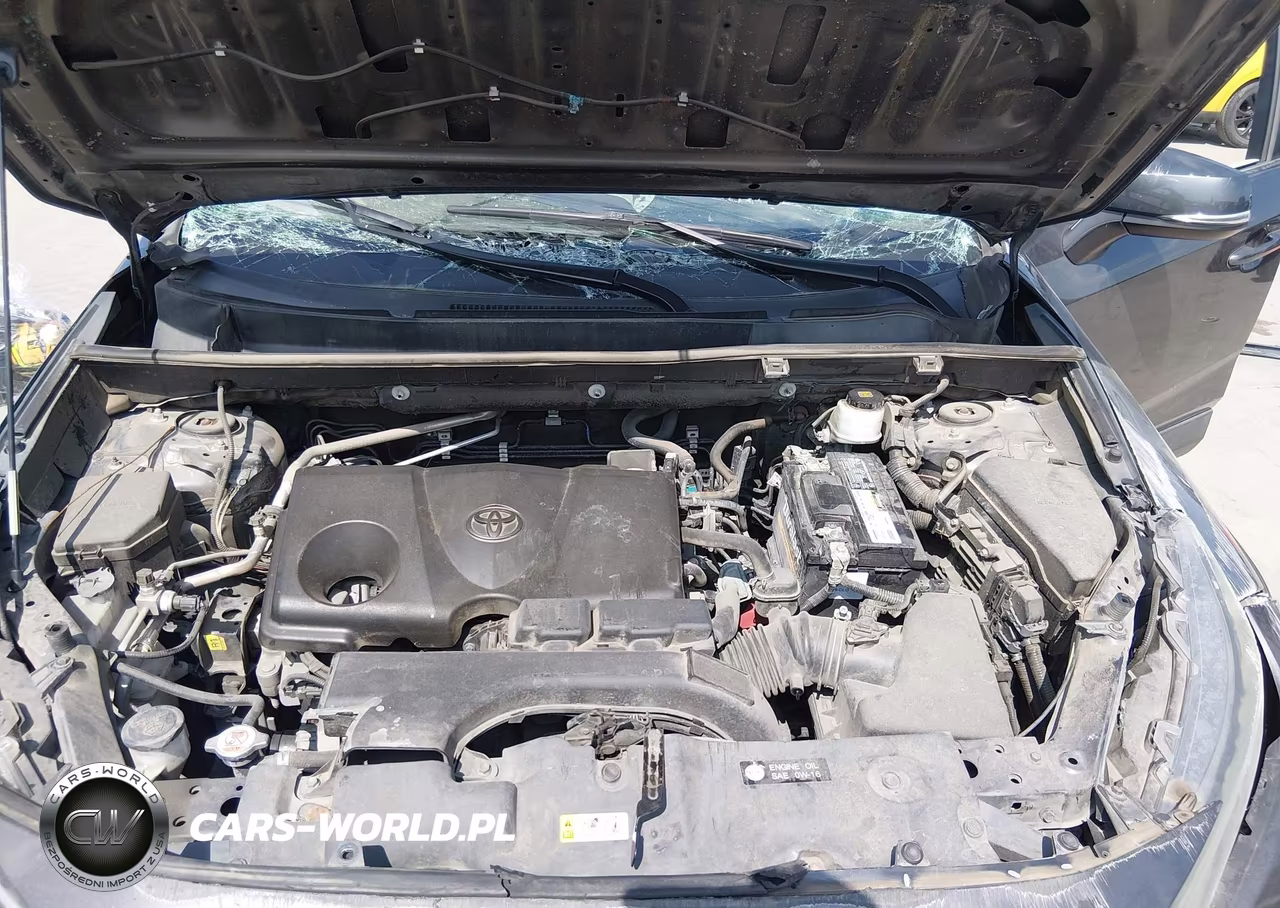 2019 Toyota Rav4 Xle VIN:2T3P1RFV6KW042416 - 10