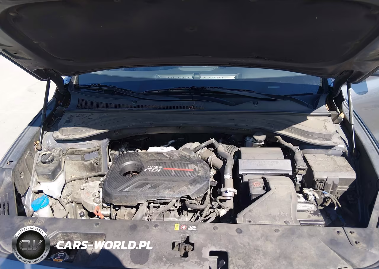 2019 Hyundai Santa Fe Limited 2.0T VIN:5NMS5CAA6KH033106 - 10
