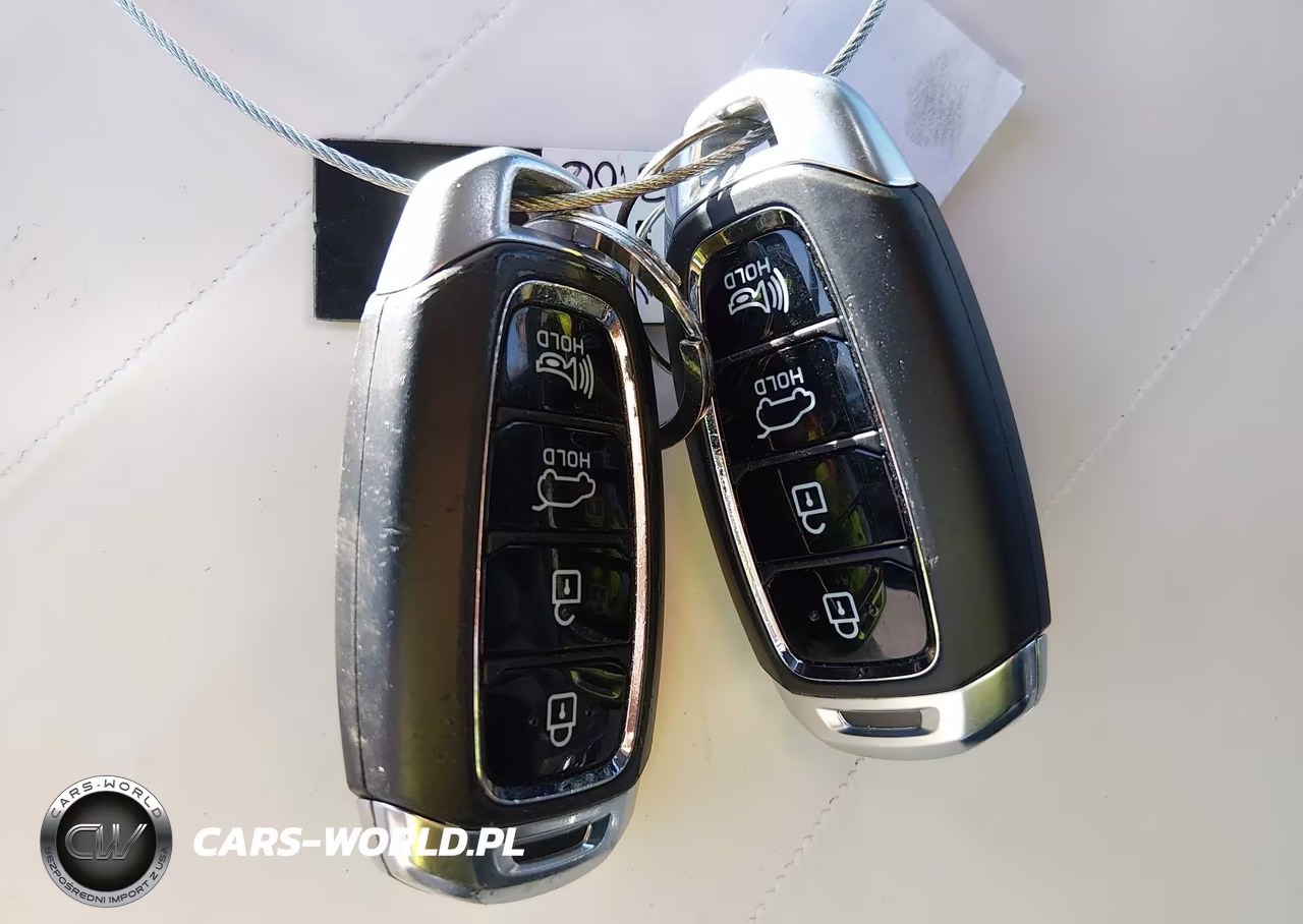 2019 Hyundai Santa Fe Limited 2.0T VIN:5NMS5CAA6KH033106 - 11