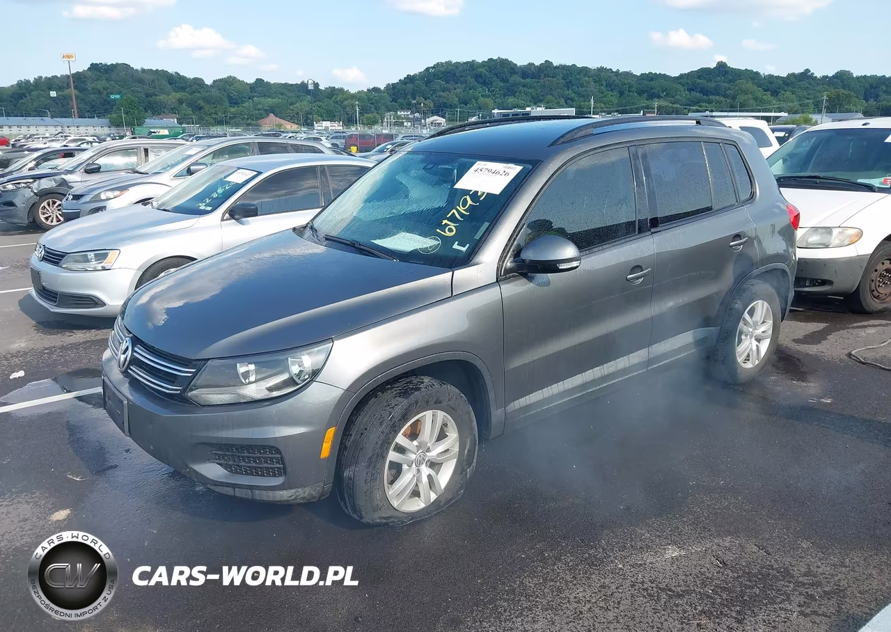 2016 Volkswagen Tiguan S VIN:WVGAV7AX1GW617193 - 2