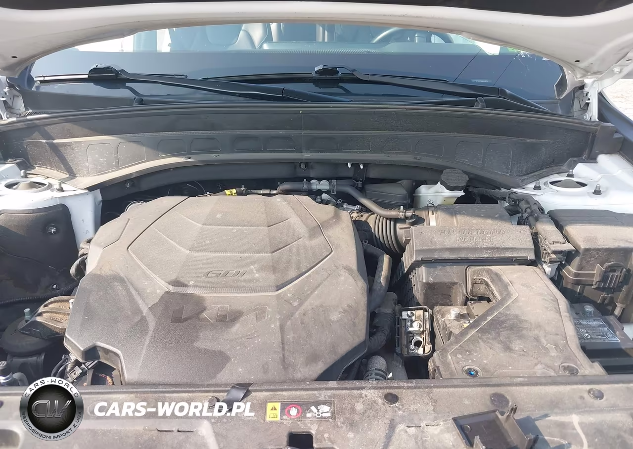 2023 Kia Telluride S VIN:5XYP6DGC6PG394970 - 10