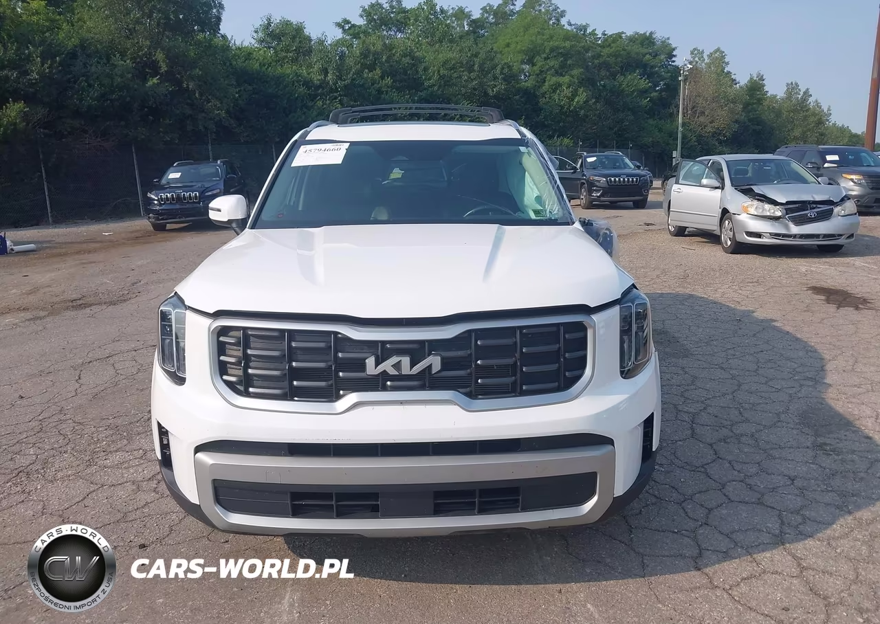 2023 Kia Telluride S VIN:5XYP6DGC6PG394970 - 12