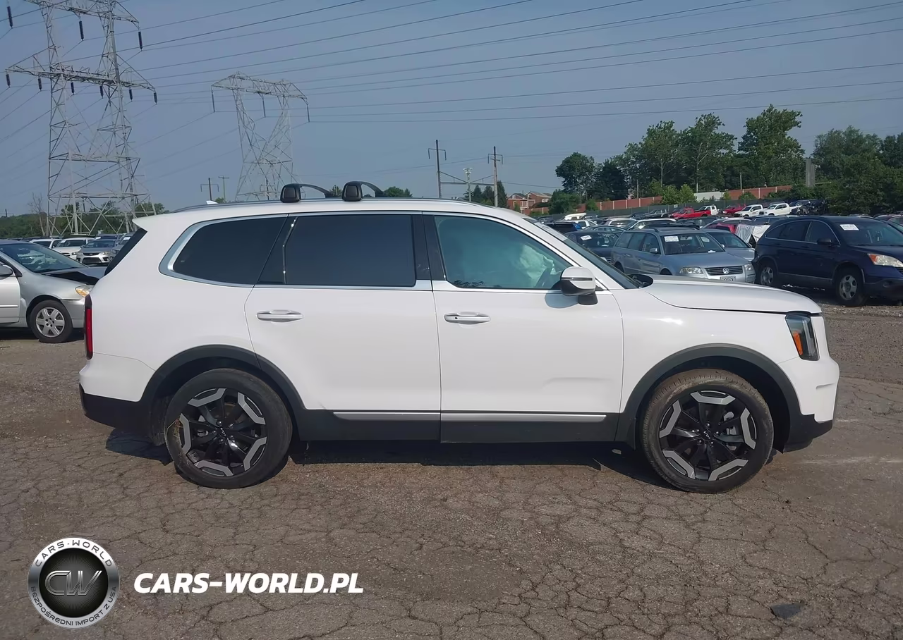 2023 Kia Telluride S VIN:5XYP6DGC6PG394970 - 13