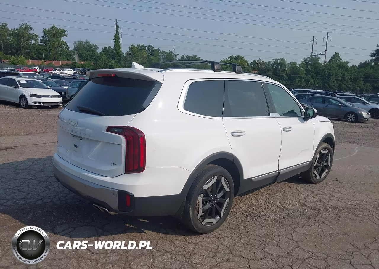 2023 Kia Telluride S VIN:5XYP6DGC6PG394970 - 4
