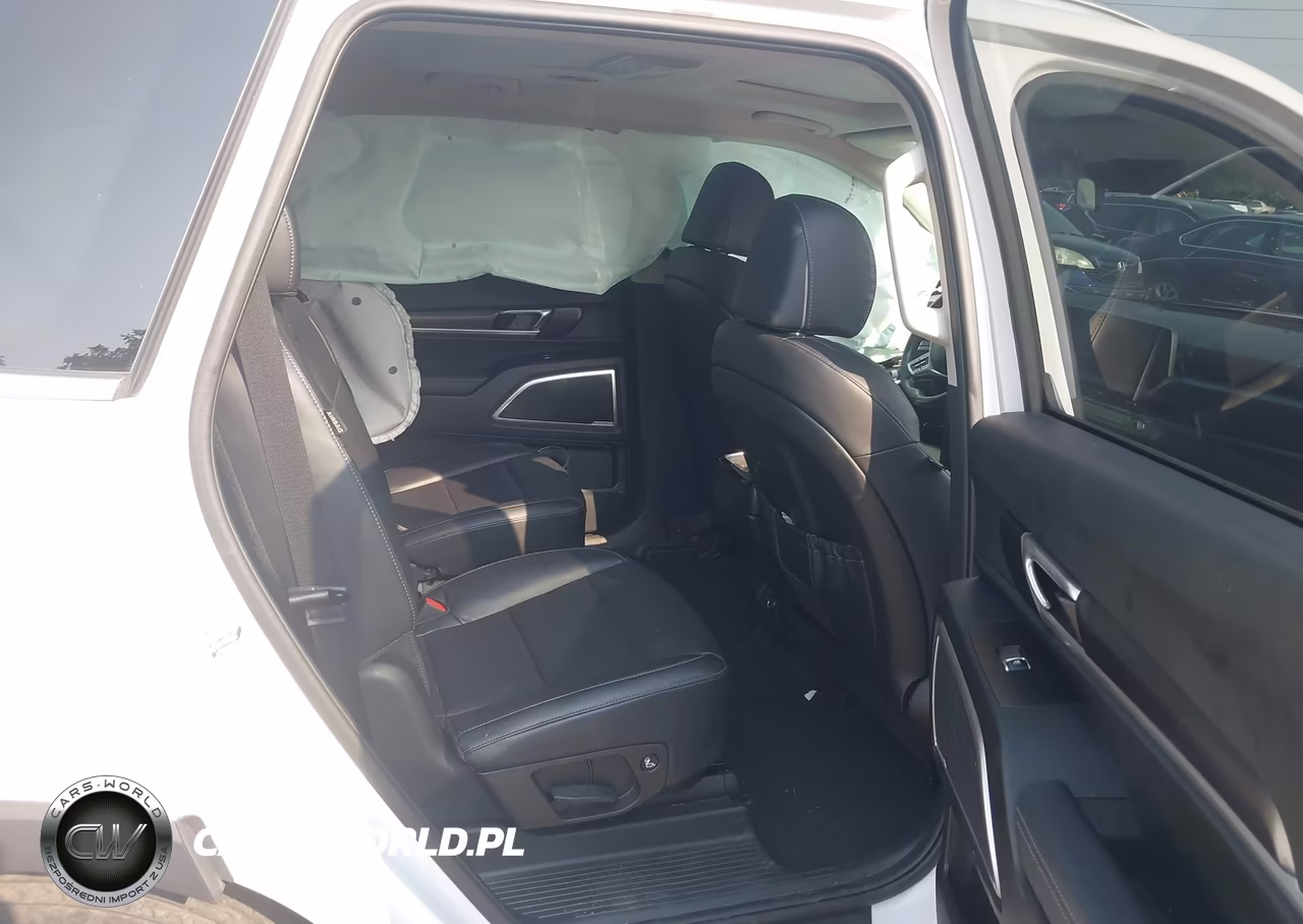 2023 Kia Telluride S VIN:5XYP6DGC6PG394970 - 8