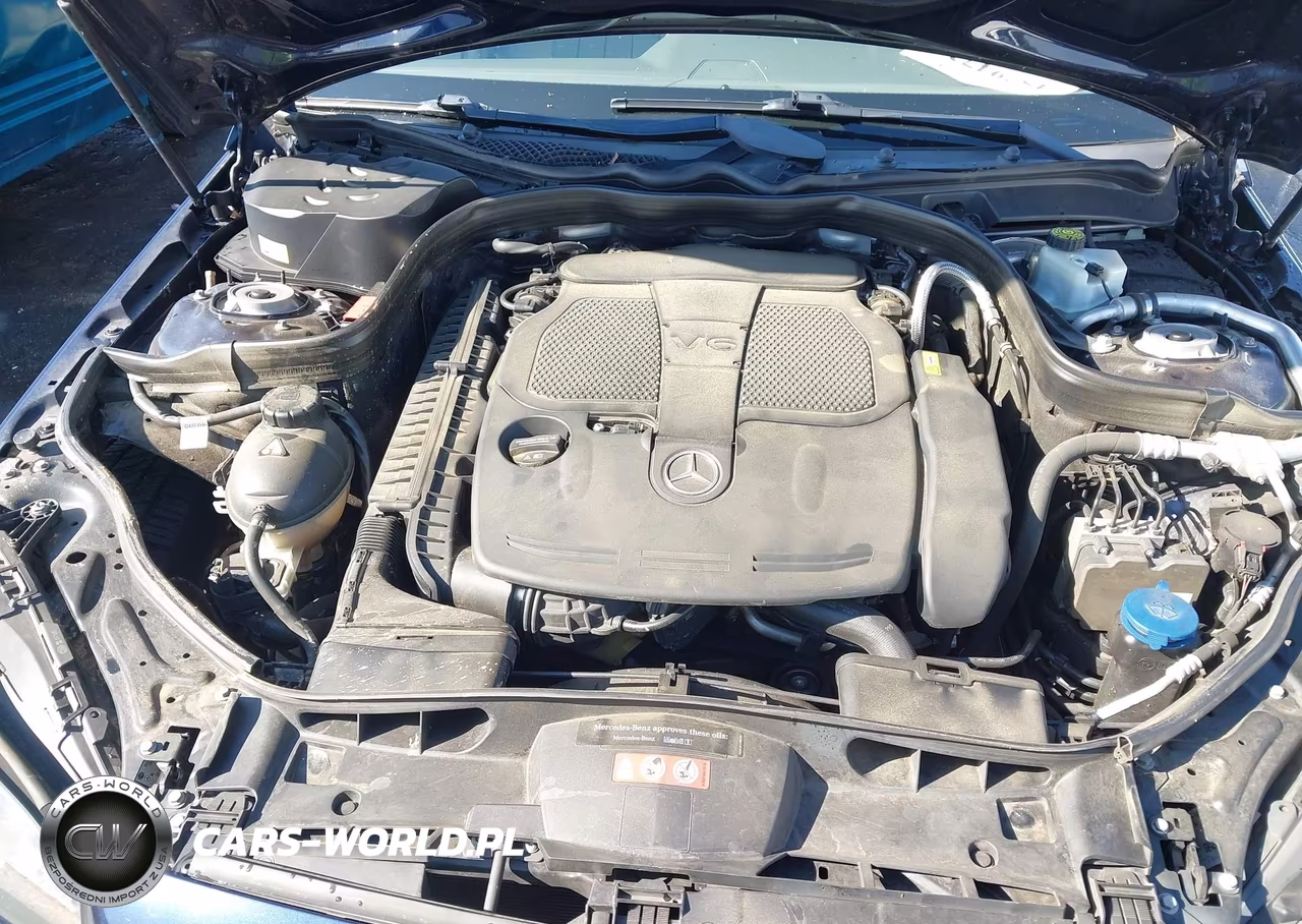 2016 Mercedes-Benz E 350 VIN:WDDHF5KB4GB250603 - 10
