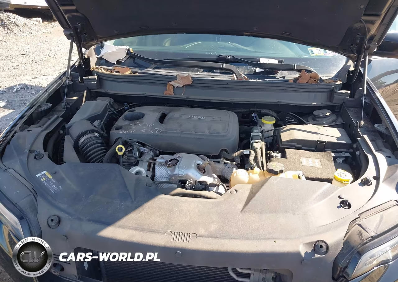 2019 Jeep Cherokee Limited 4X4 VIN:1C4PJMDN7KD117711 - 10