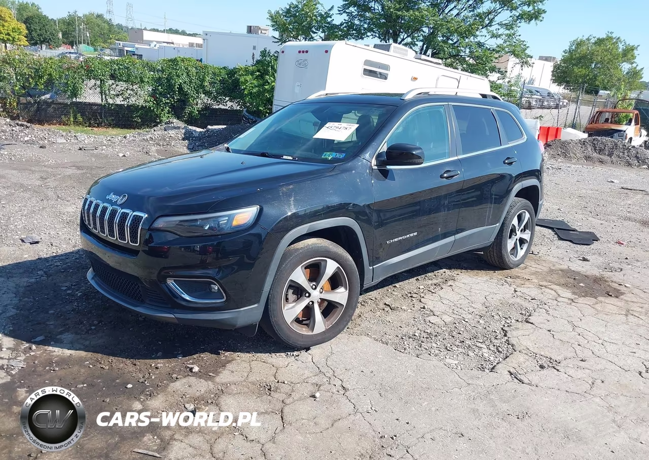 2019 Jeep Cherokee Limited 4X4 VIN:1C4PJMDN7KD117711 - 2