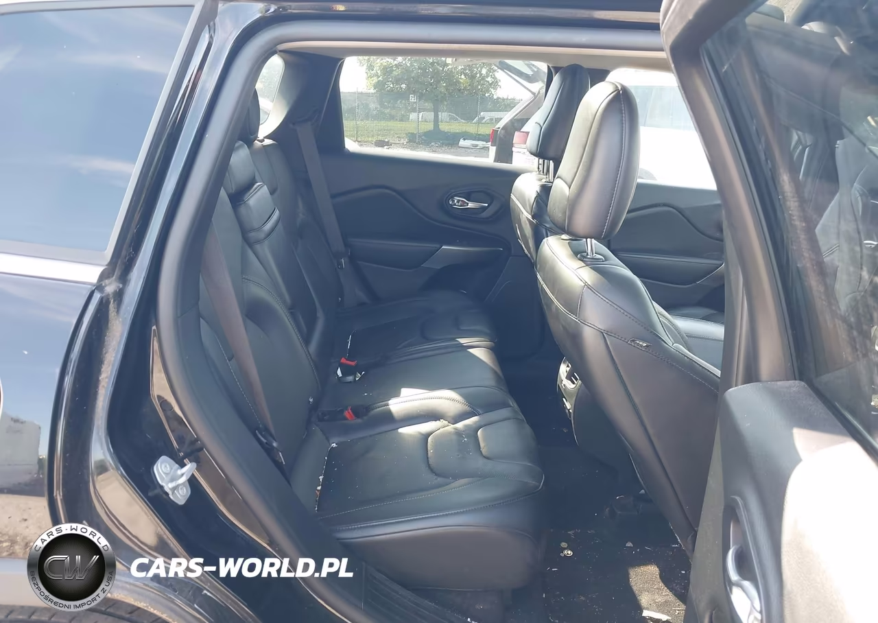 2019 Jeep Cherokee Limited 4X4 VIN:1C4PJMDN7KD117711 - 8