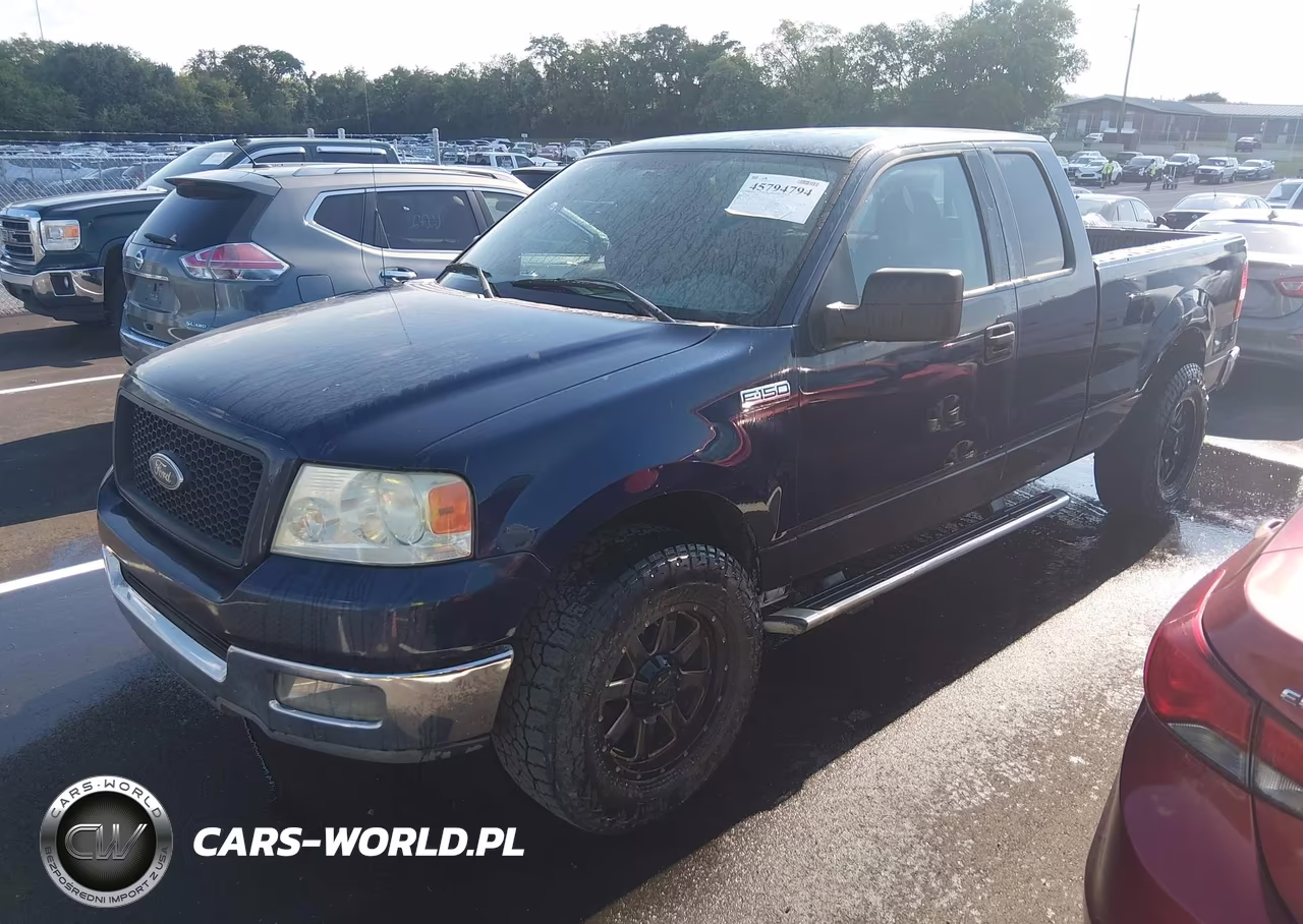 2004 Ford F-150 Stx-Xl-Xlt VIN:1FTRX12W64NB97498 - 2
